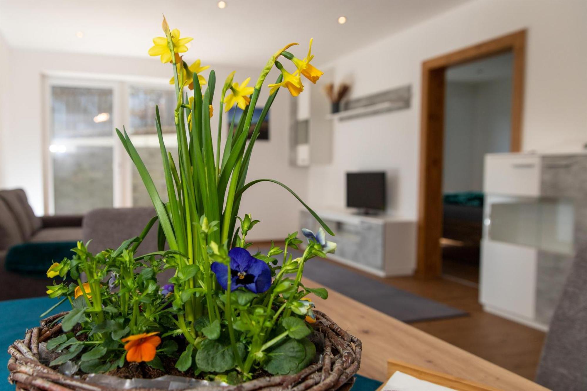 Ferienwohnung Pedit ทาร์เรนส์ ภายนอก รูปภาพ